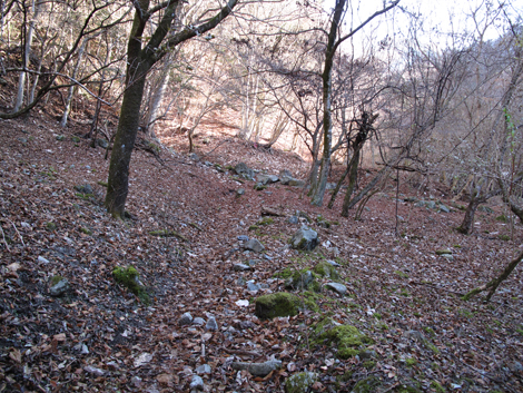 20171207hike (31)